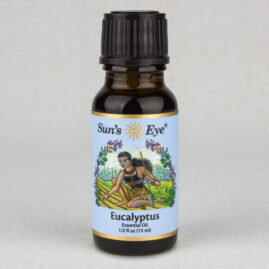 Eucalyptus Essential Oil